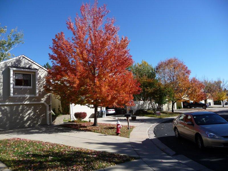 Gallery image 13