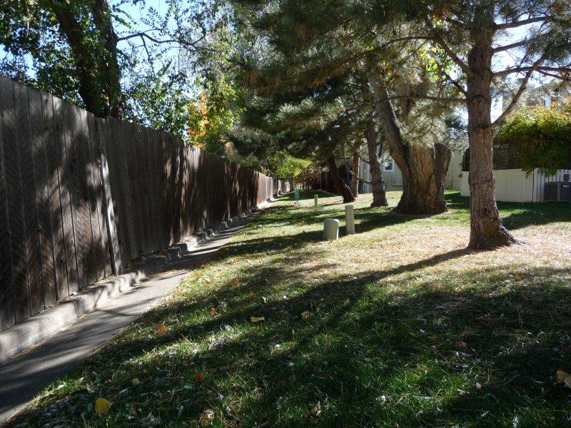 Gallery image 14