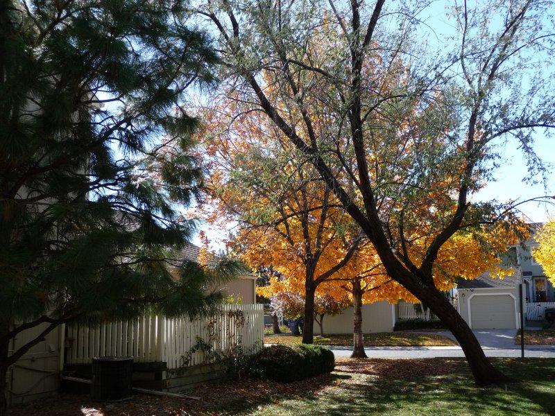 Gallery image 18